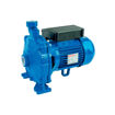 Imagen de Electro Bomba centrifuga SPERONI CM 22, 0.5HP, 1x220v.
